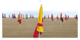 Les Couleurs de Deauville