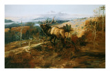 Buy The Elk at AllPosters.com