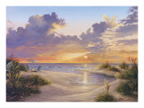 Paradise Sunset