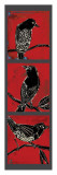 Black Birds