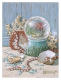 Buy Sea Shell Collection III at AllPosters.com