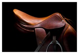 English Saddle I