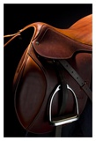 Buy English Saddle II at AllPosters.com