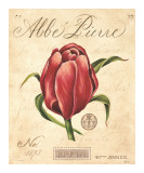 Buy Abbe Pierre at AllPosters.com