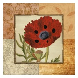 Alhambra Poppies II