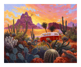 Buy The Baja Trail at AllPosters.com