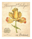 Buy Perroquet Tulipe at AllPosters.com