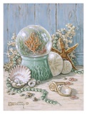 Sea Shell Collection IV