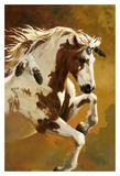 Buy Wildheart at AllPosters.com
