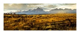 Buy Wyoming Morning Panel at AllPosters.com