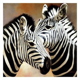Buy Zebra Pair at AllPosters.com