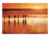 Camel Crossing