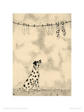 Spotty Dog And Socks