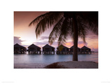 Buy Water Villas at Sunset, Kuredu, Maldives at AllPosters.com