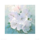 Buy Soft White Florals at AllPosters.com