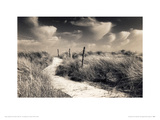 Winding Path, West Wittering