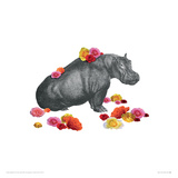 Hippo