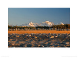 Buy Endless Line at AllPosters.com
