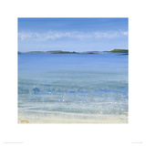Beach Shallows