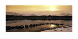 Buy Loch Morlich, Highlands, Scotland at AllPosters.com