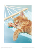 Buy Brian at AllPosters.com