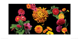 500 Flowers I