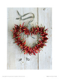 Picante II Giclee Print
