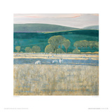 Landscape With Low Lying Sun, Northumberland