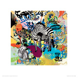 KALEIDOSCOPE (Zebra)