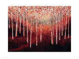 Magical Woodlands