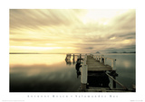 Buy Salamander Bay at AllPosters.com