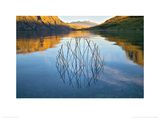 Buy Sunrise Circle at AllPosters.com
