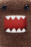 Domo Close Up