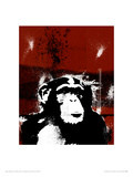 Graf Monkey