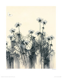 White Flowers