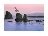 Buy Pacific Coast at AllPosters.com