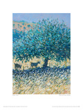 Goats And Olives, Rhodes