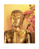Buy Buddha, Wat Pho, Thailand at AllPosters.com