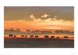 Wading Elephants