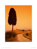 Bella Toscana