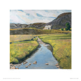 River By Day