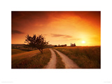 Under the Tuscan Sun