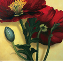 Buy Poppies at AllPosters.com