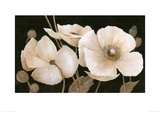 Buy Sepia Poppies at AllPosters.com