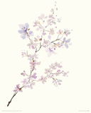 Gentle Breeze II