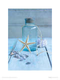 Buy Seaside Treasure at AllPosters.com