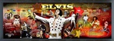 Elvis Presley - Framed Elvis Photoramic (Panoramic Timeline Photo)