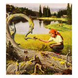 Buy "Feeding Chipmunks", May 16, 1953 at AllPosters.com