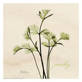 Parsley on Beige