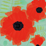 Collection of Poppies on Blue